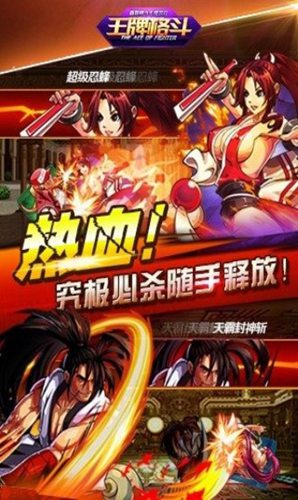 王牌格斗2