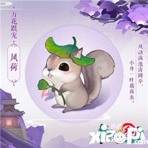 劍網(wǎng)3指尖江湖寵物大全